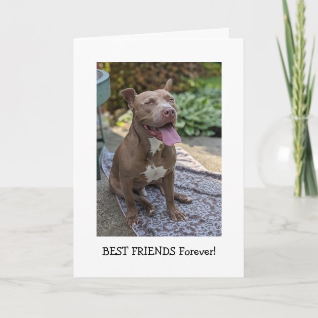 Pitbull Love Thinking of You Card (Front)