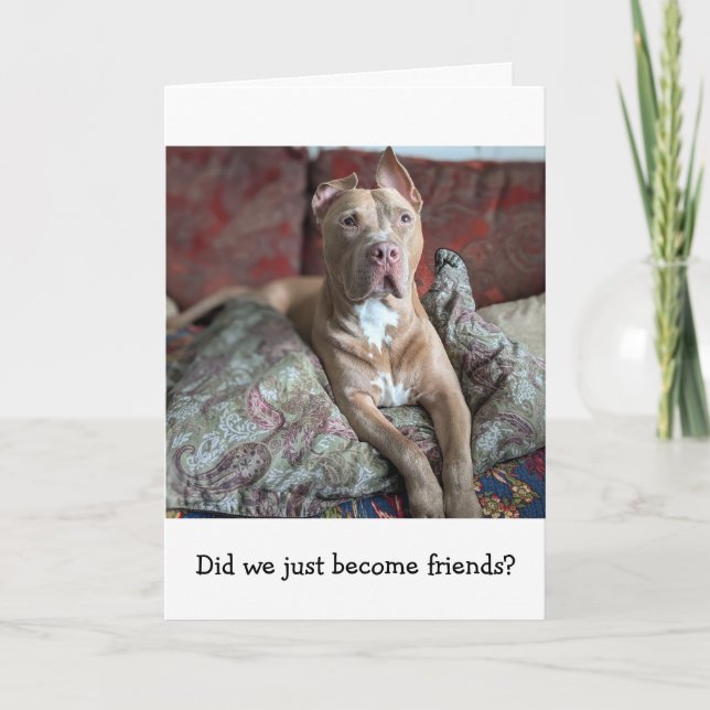 Pitbull Love Thinking of You Card (Front)