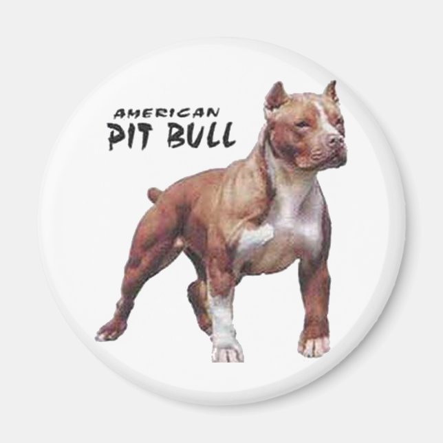 Pitbull Magnet (Front)