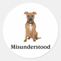 Pitbull - Misunderstood