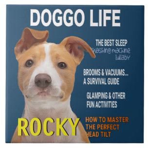 Pitbull Parody Magazine Cover Ceramic Tile