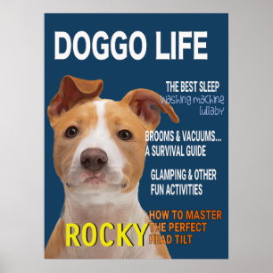 Pitbull Parody Magazine Cover Poster