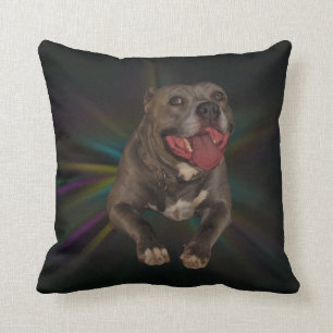 Pitbull Pillow
