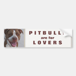 Pitbull Play With Me Bumper Sticker