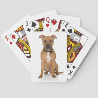 Pitbull Playing Cards