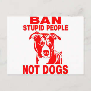 PITBULL POSTCARD
