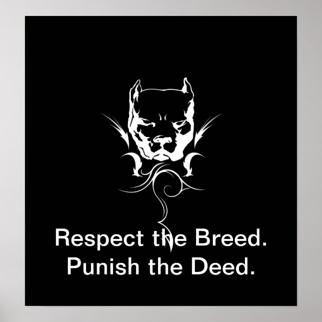 Pitbull Poster. Poster (Front)