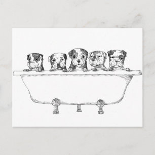 Pitbull Puppies In the Tub - Illustration Postcard