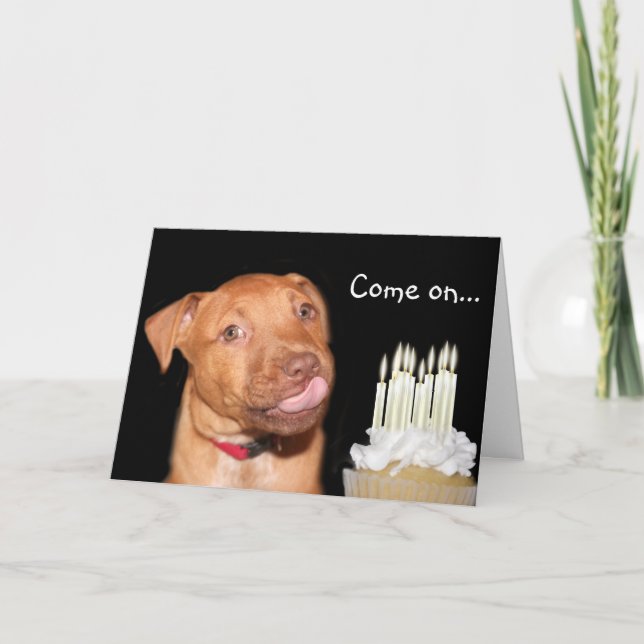 Pitbull puppy birthday card (Front)