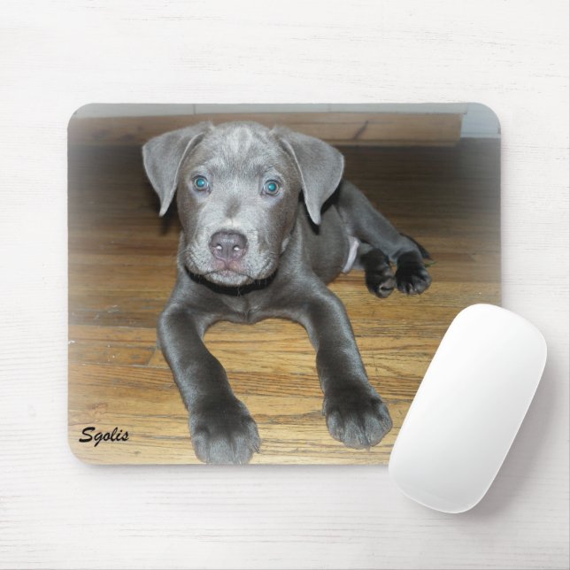 Pitbull Puppy / Cute Dog  Mouse Pad (With Mouse)