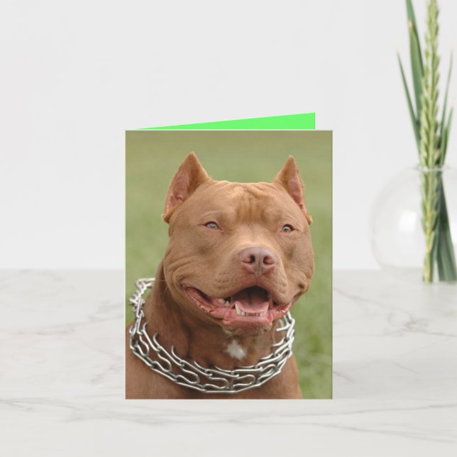 Pitbull Puppy Dog Blank Note Card (Front)
