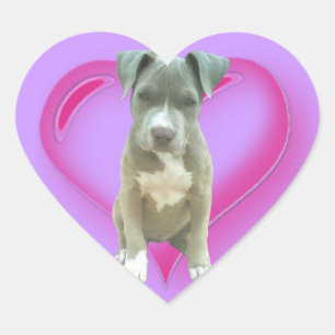 Pitbull puppy heart sticker
