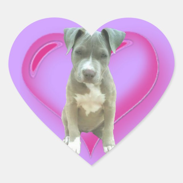 Pitbull puppy heart sticker (Front)