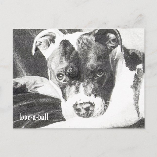Pitbull Puppy in pencil 4 by Jacob Grimm Postcard (Front)