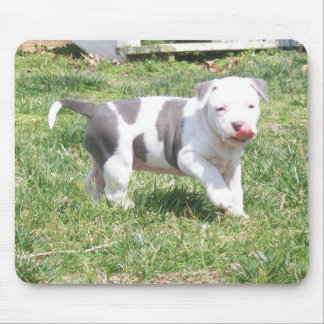 PITBULL PUPPY MOUSE PAD