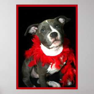 Pitbull puppy poster