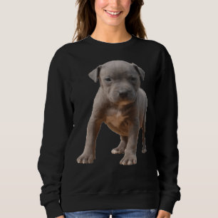 Pitbull Puppy Power Sweatshirt