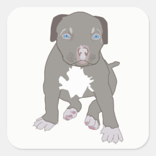 Pitbull Puppy Square Sticker