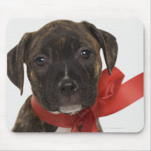 Pitbull puppy wearing red ribbon mouse pad