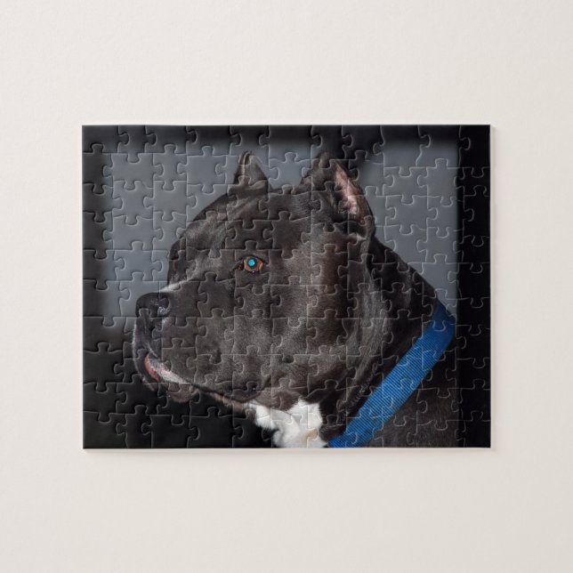 Pitbull Puzzle (Horizontal)