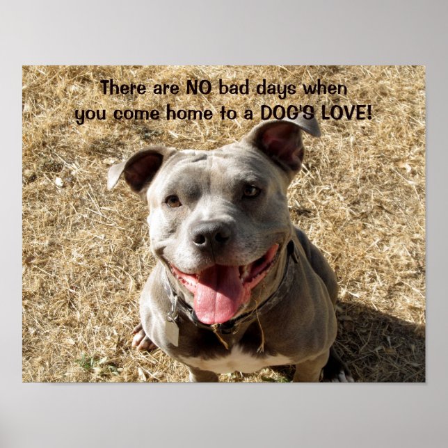 Pitbull Smiling Dog's Love Poster (Front)