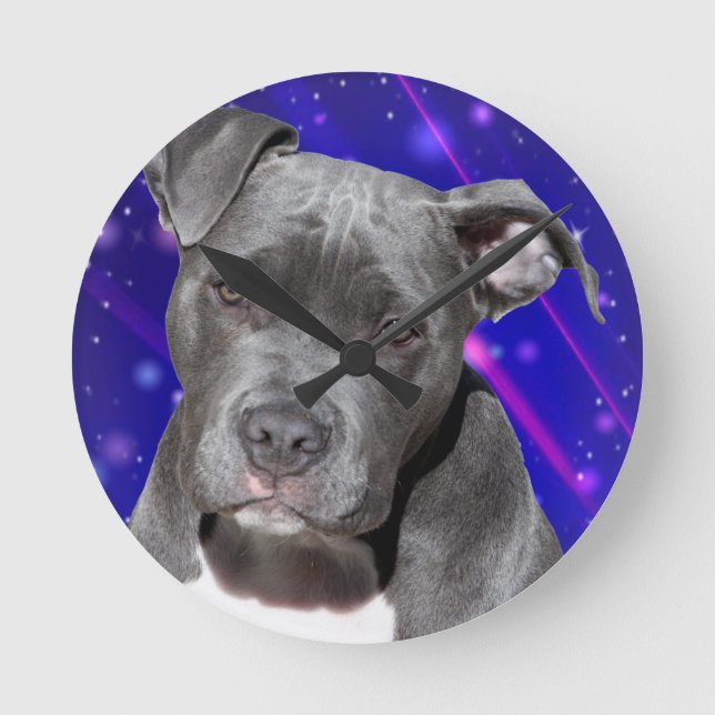 Pitbull Space Clocks (Front)