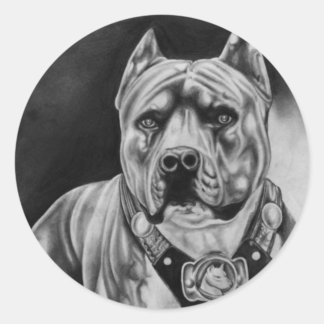 PITBULL STICKER ROUND PKG OF 20 (Front)