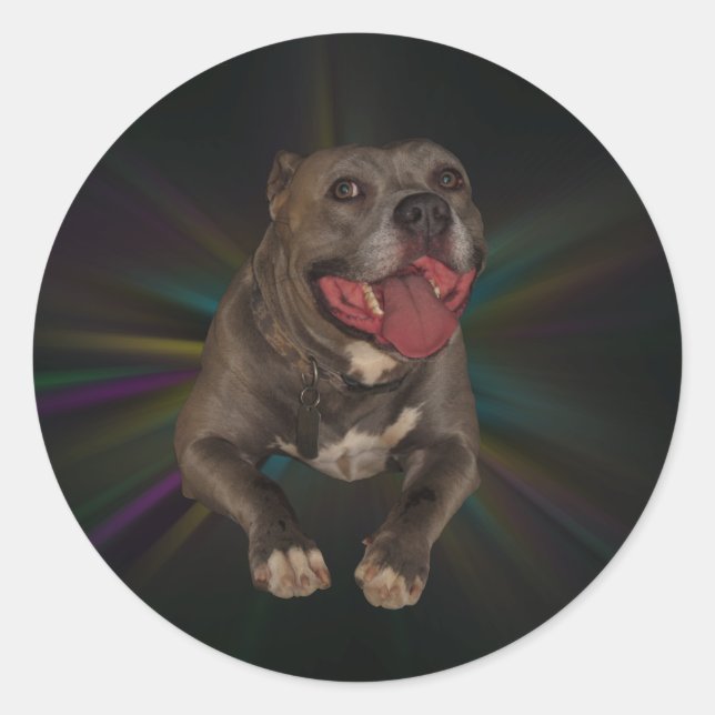 Pitbull Stickers (Front)