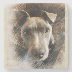 Pitbull Stone Coaster