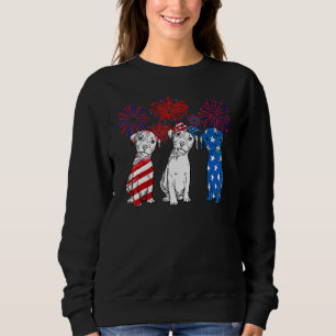 Pitbull Terrier Firework Usa Flag Cute Puppy 4th O Sweatshirt