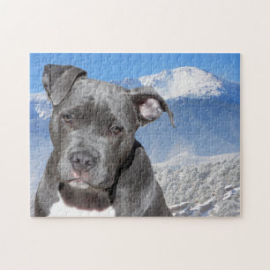 Pitbull Terrier. Jigsaw Puzzle