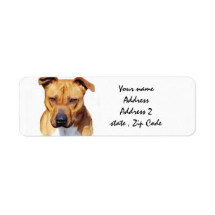 Pitbull Terrier Return Address Label