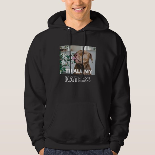 Pitbull To All My Haters  Pitbull Dog Hoodie (Front)