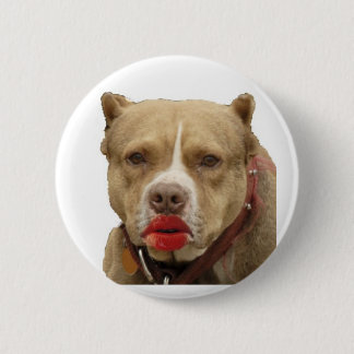 Pitbull Wearing Lipstick Button