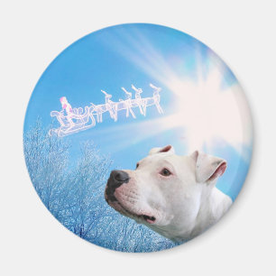 PItbull White Dog Christmas Wish Magnet