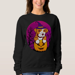 Pitbull Witch Hat And Pumpkin Dog Halloween Costum Sweatshirt