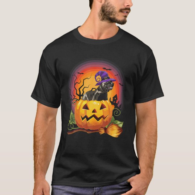 Pitbull Witch Pumpkin Halloween Dog Lover Costume T-Shirt (Front)
