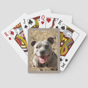 Pitbull With Big Smile Playing Cards