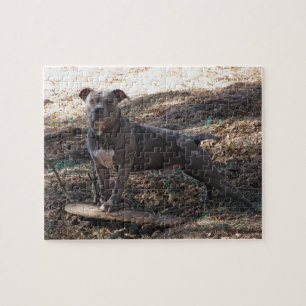 Pitbull with Skateboard Puzzle