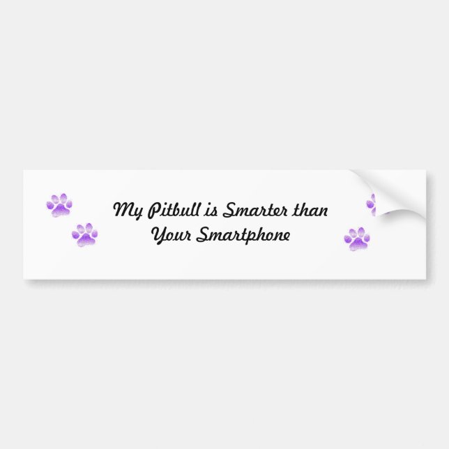 Pitbulls are smarter bumper sticker (Front)