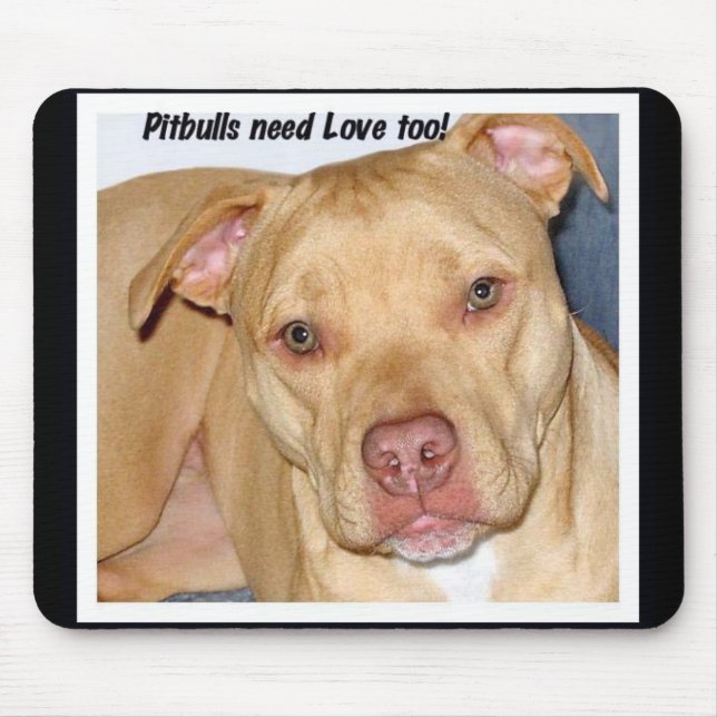 Pitbulls need love too mousepad (Front)