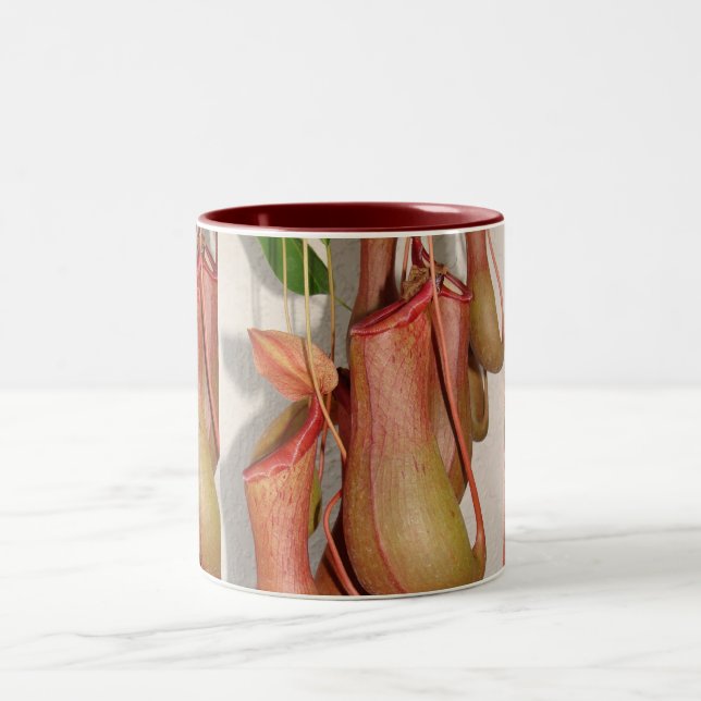 Pitcher Plant Two-Tone Coffee Mug (Center)