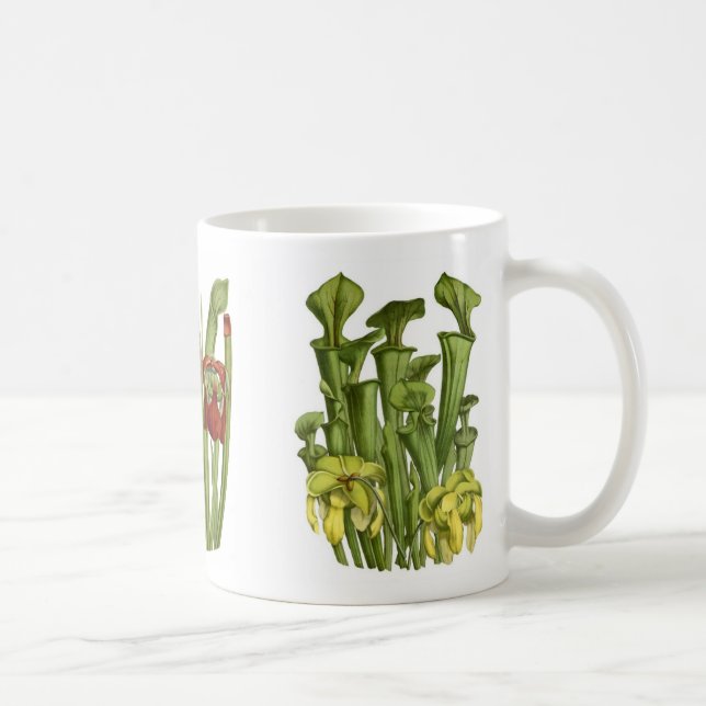 Pitcher plants coffee mug (Right)