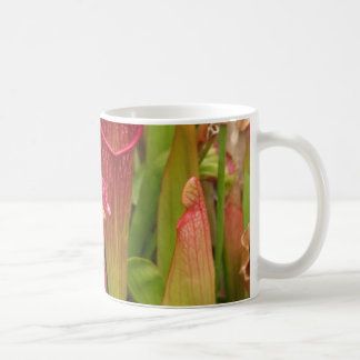 Pitcher Plants Coffee Mug