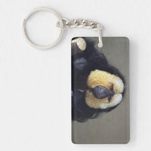 Pithecia pithecia key ring