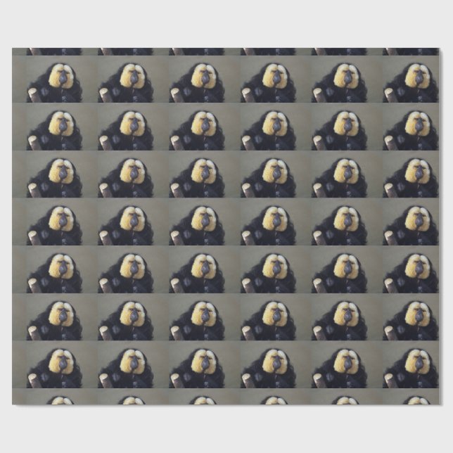 Pithecia pithecia wrapping paper (Flat)