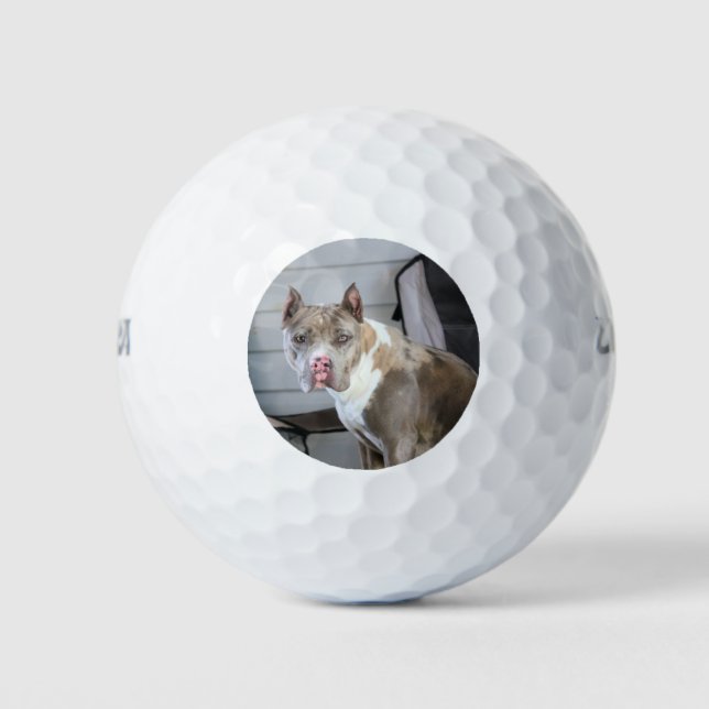 Pitt bull golf balls (Front)