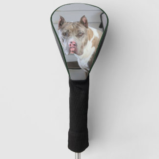 Pitt bull golf head cover
