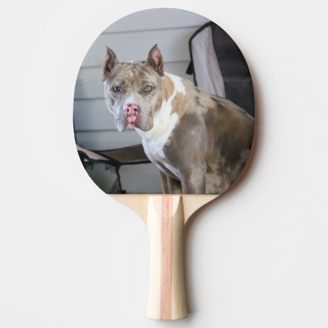 Pitt bull ping pong paddle (Front)