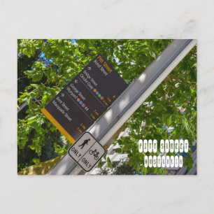 Pitt Street Postcard